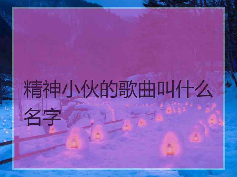 精神小伙的歌曲叫什么名字