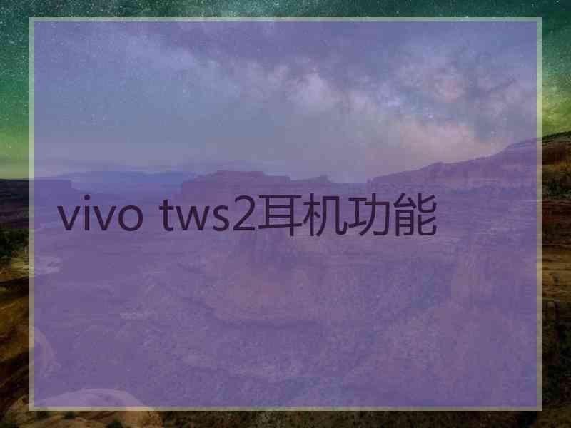 vivo tws2耳机功能