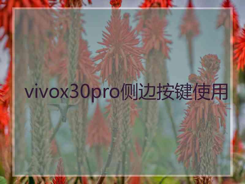 vivox30pro侧边按键使用