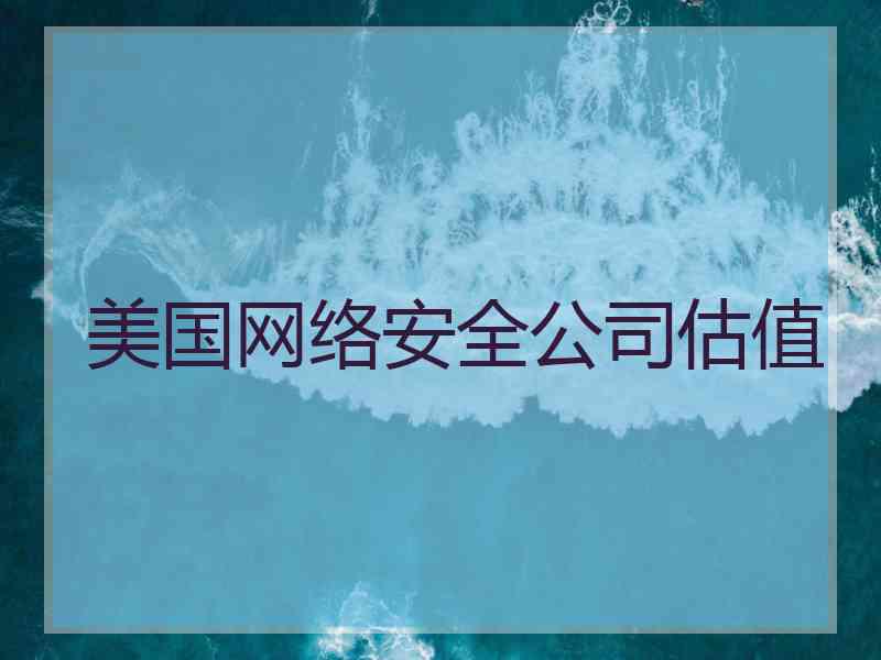 美国网络安全公司估值