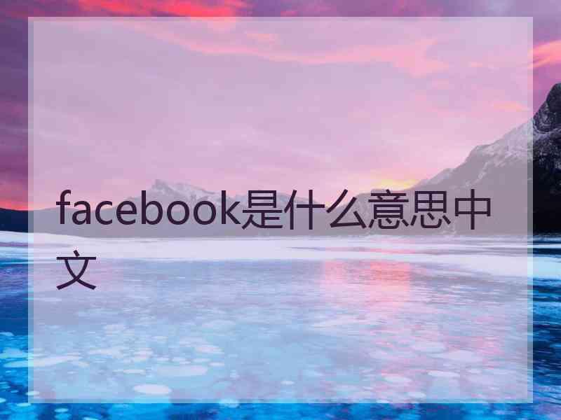 facebook是什么意思中文