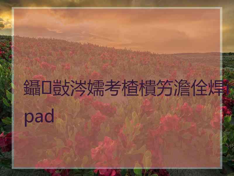 鑷敱涔嬬考楂樻竻澹佺焊ipad