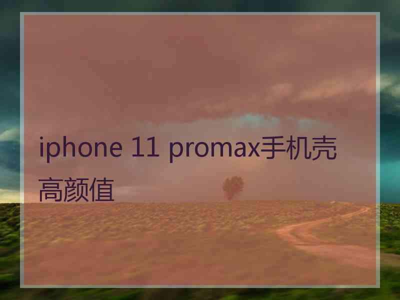 iphone 11 promax手机壳高颜值