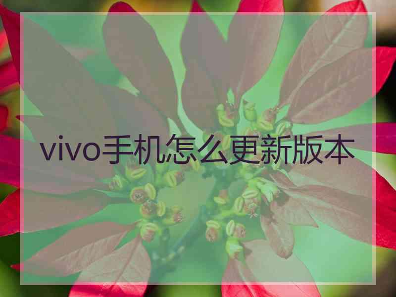 vivo手机怎么更新版本