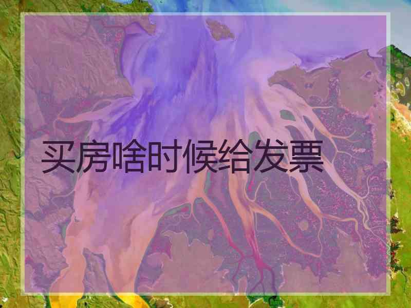 买房啥时候给发票