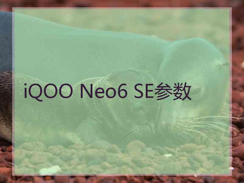 iQOO Neo6 SE参数