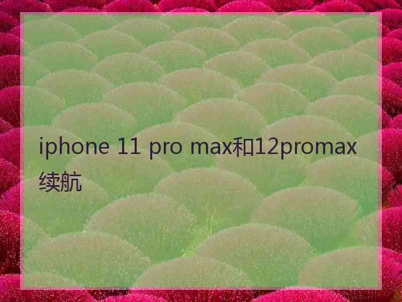 iphone 11 pro max和12promax续航