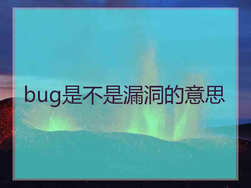 bug是不是漏洞的意思