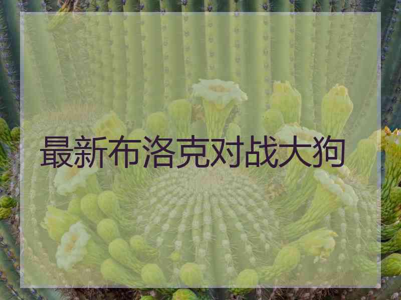 最新布洛克对战大狗