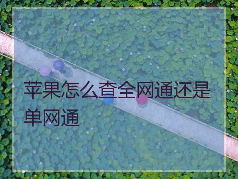 苹果怎么查全网通还是单网通