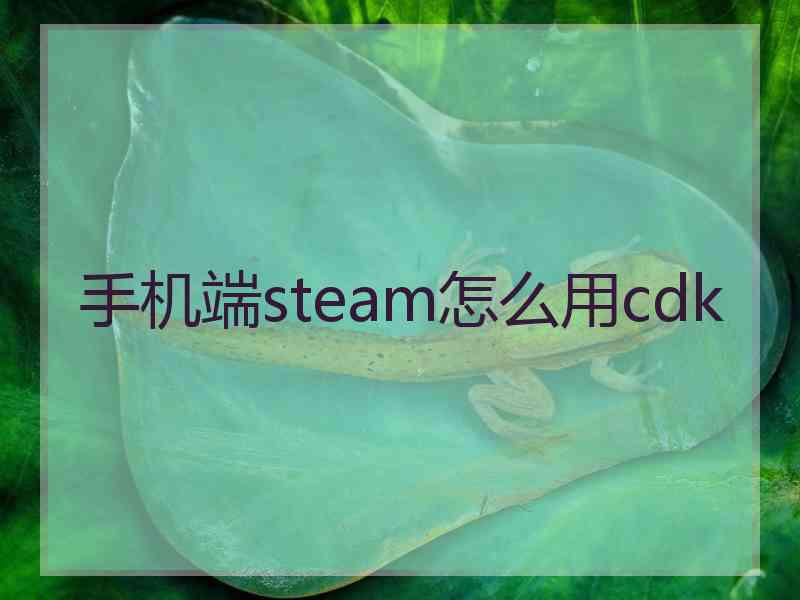 手机端steam怎么用cdk