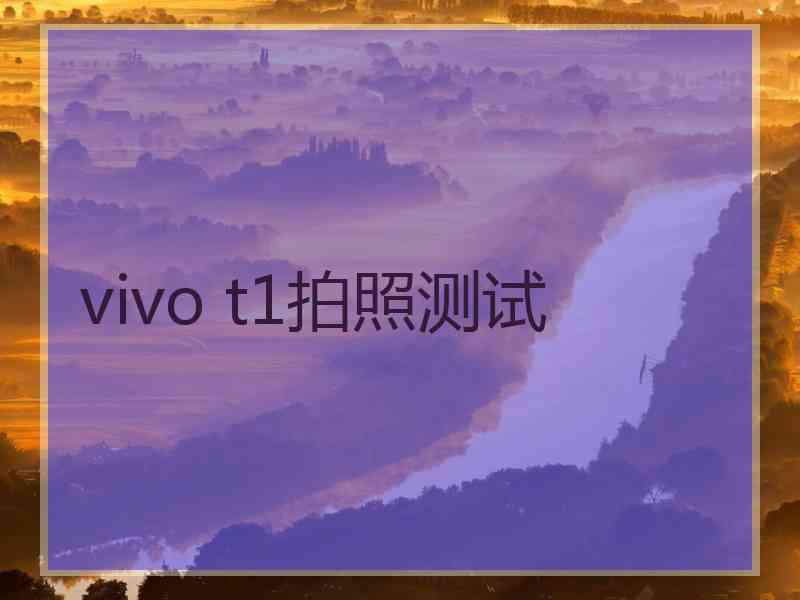 vivo t1拍照测试