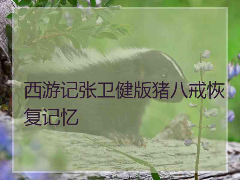 西游记张卫健版猪八戒恢复记忆