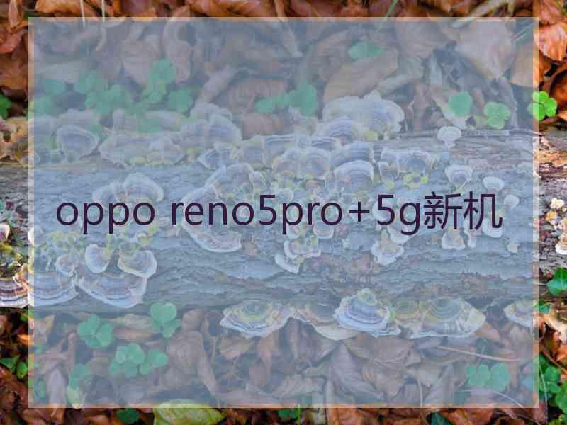 oppo reno5pro+5g新机