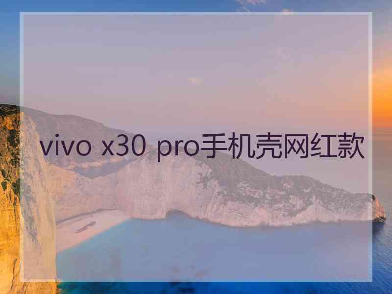 vivo x30 pro手机壳网红款