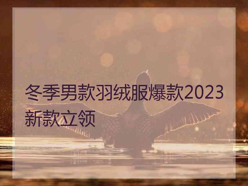 冬季男款羽绒服爆款2023新款立领