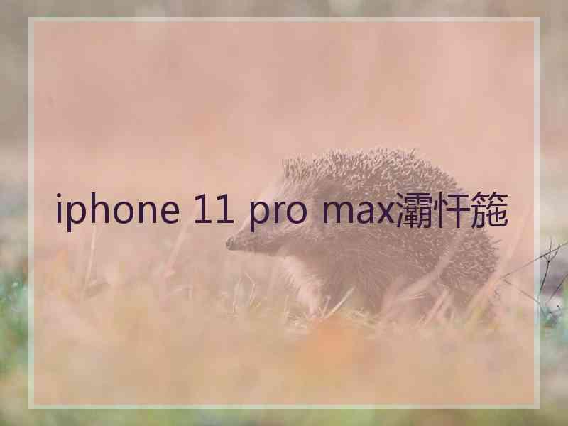 iphone 11 pro max灞忓箷