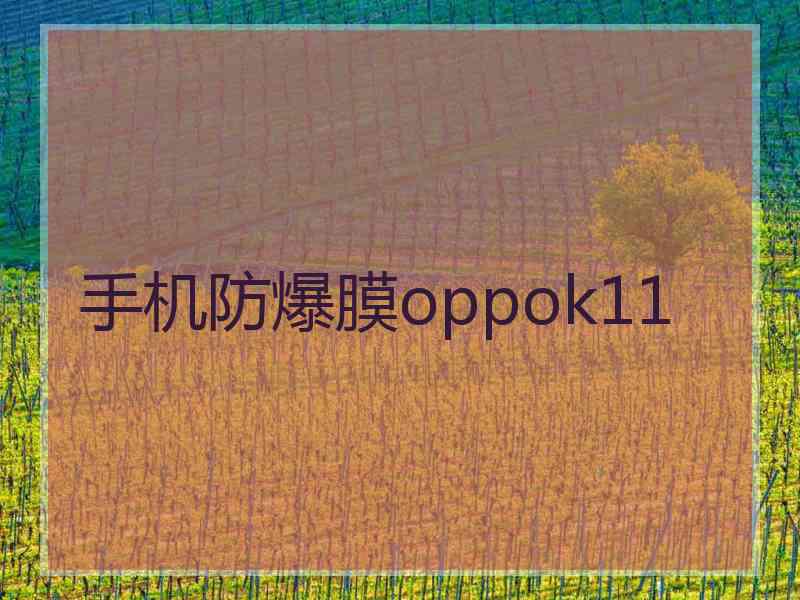 手机防爆膜oppok11