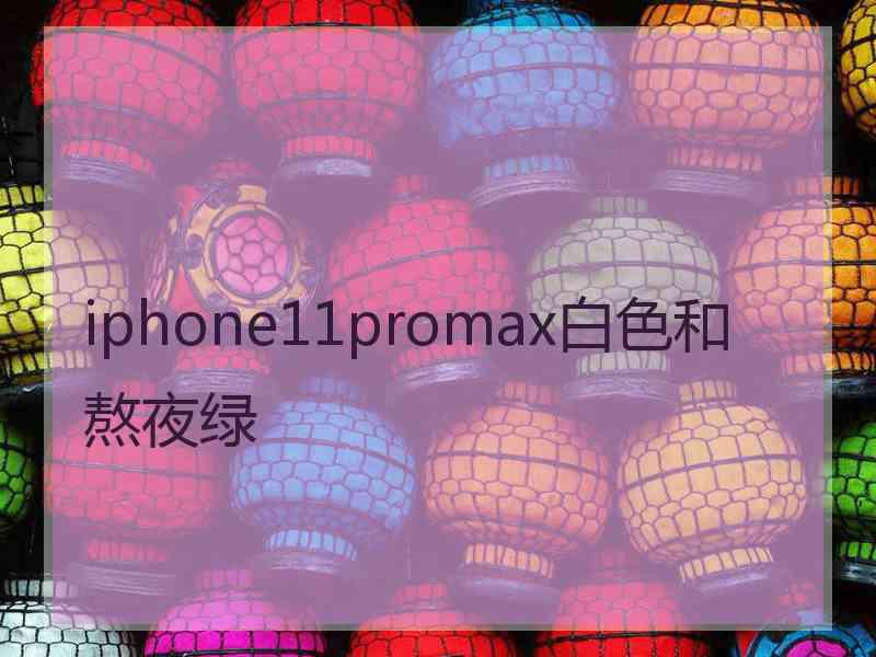 iphone11promax白色和熬夜绿