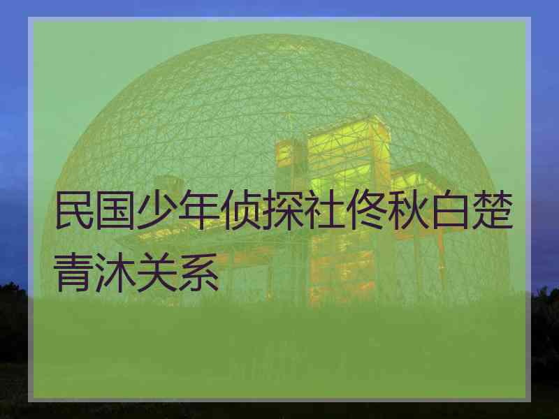 民国少年侦探社佟秋白楚青沐关系