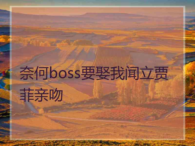 奈何boss要娶我闻立贾菲亲吻