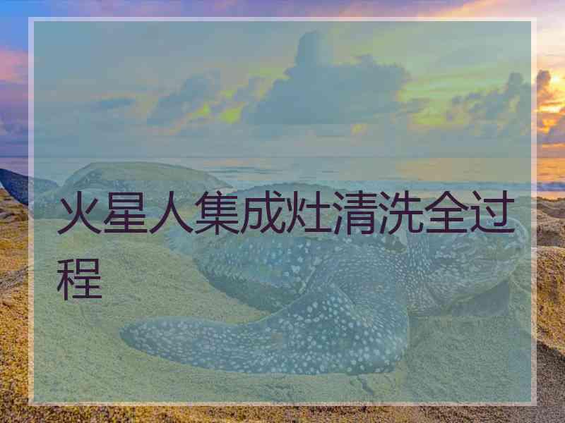 火星人集成灶清洗全过程