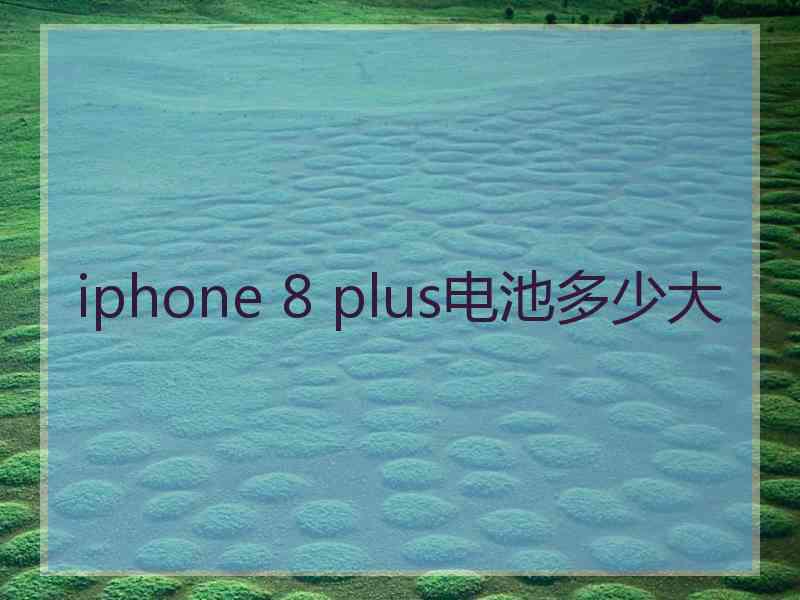 iphone 8 plus电池多少大