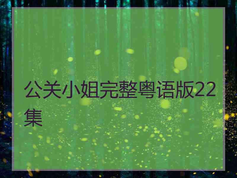 公关小姐完整粤语版22集