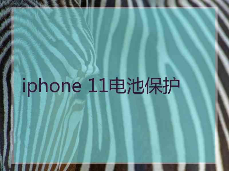 iphone 11电池保护