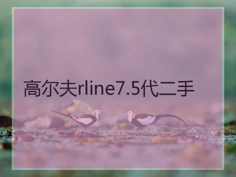 高尔夫rline7.5代二手