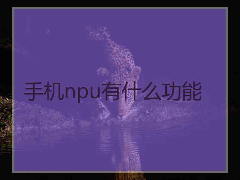 手机npu有什么功能