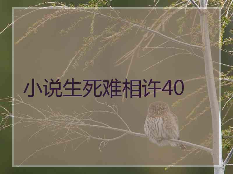 小说生死难相许40