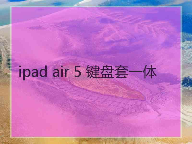 ipad air 5 键盘套一体