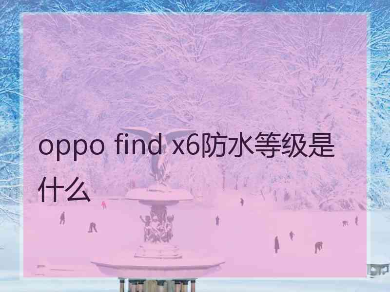 oppo find x6防水等级是什么