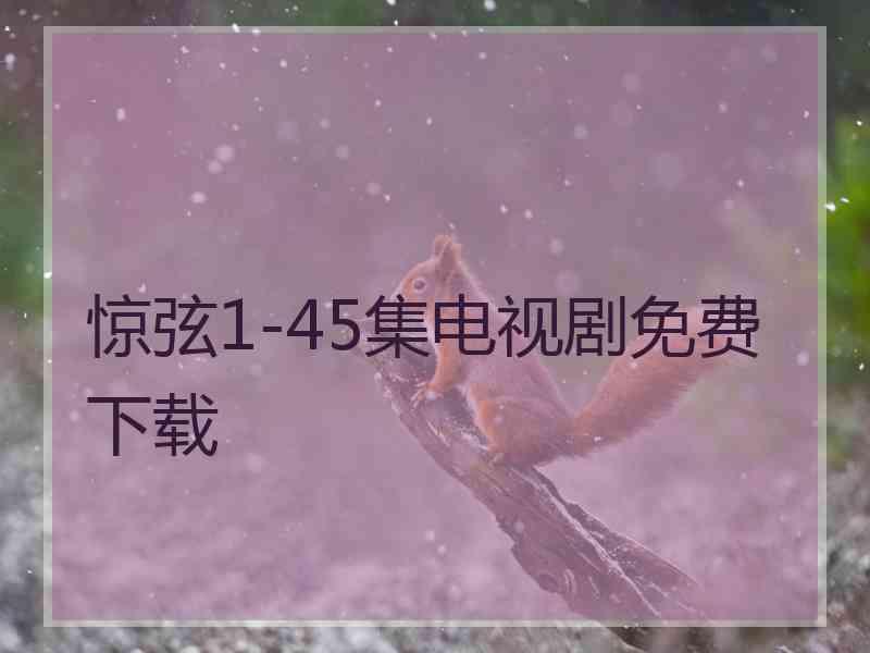 惊弦1-45集电视剧免费下载