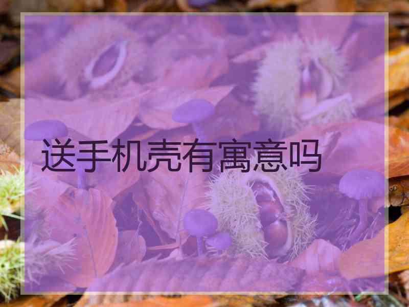 送手机壳有寓意吗