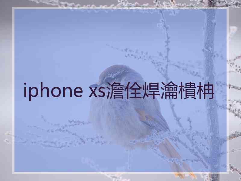 iphone xs澹佺焊瀹樻柟