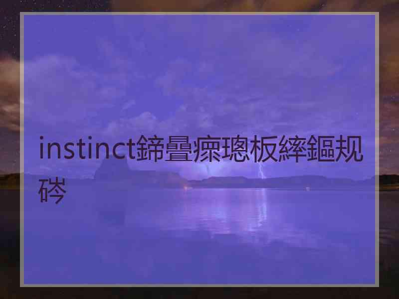 instinct鍗曡瘝璁板繂鏂规硶