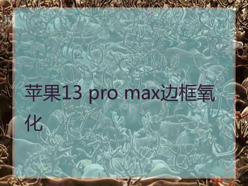 苹果13 pro max边框氧化