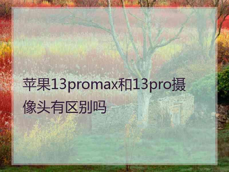 苹果13promax和13pro摄像头有区别吗