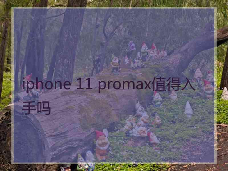 iphone 11 promax值得入手吗