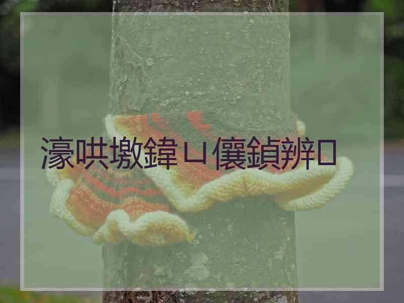 濠哄墽鍏ㄩ儴鍞辨