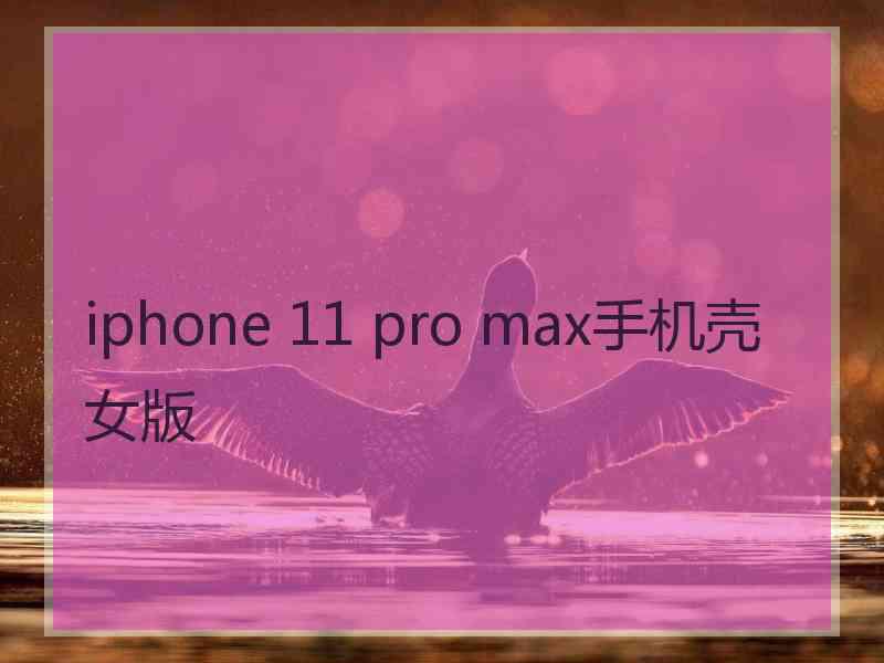 iphone 11 pro max手机壳女版