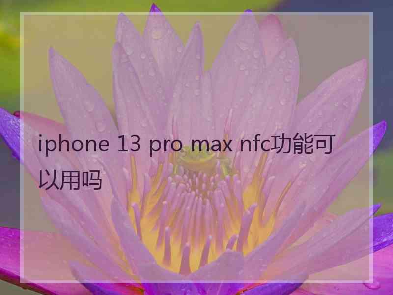 iphone 13 pro max nfc功能可以用吗