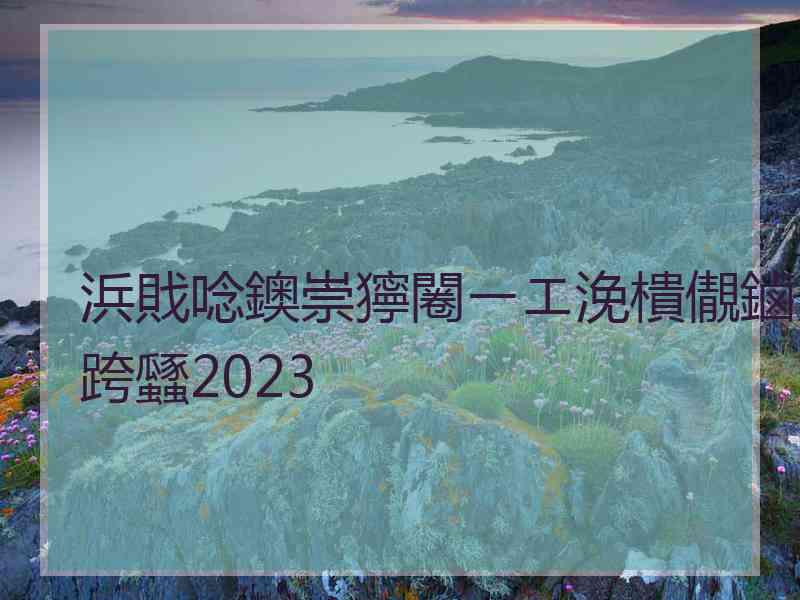 浜戝唸鐭崇獰闂ㄧエ浼樻儬鏀跨瓥2023