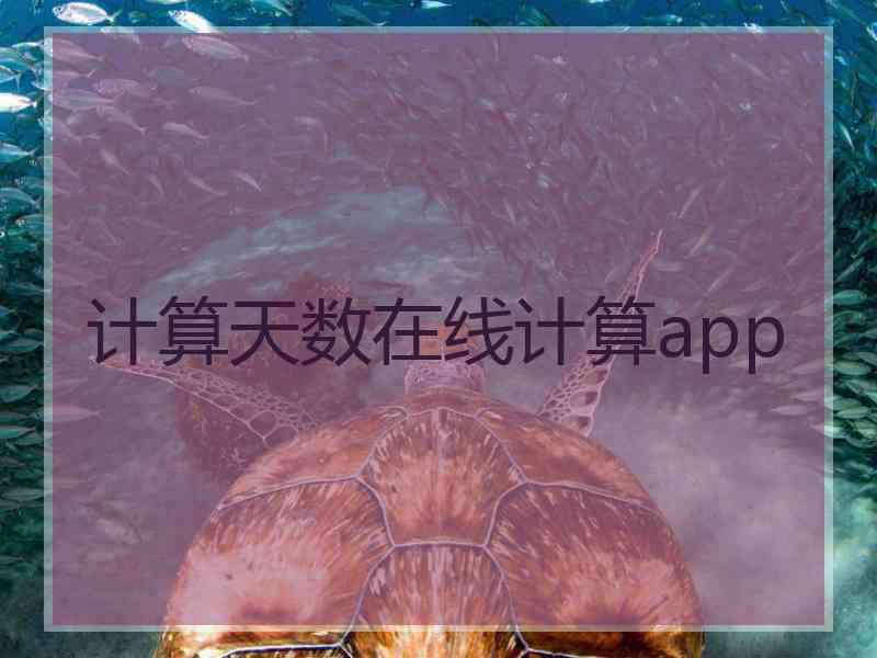 计算天数在线计算app