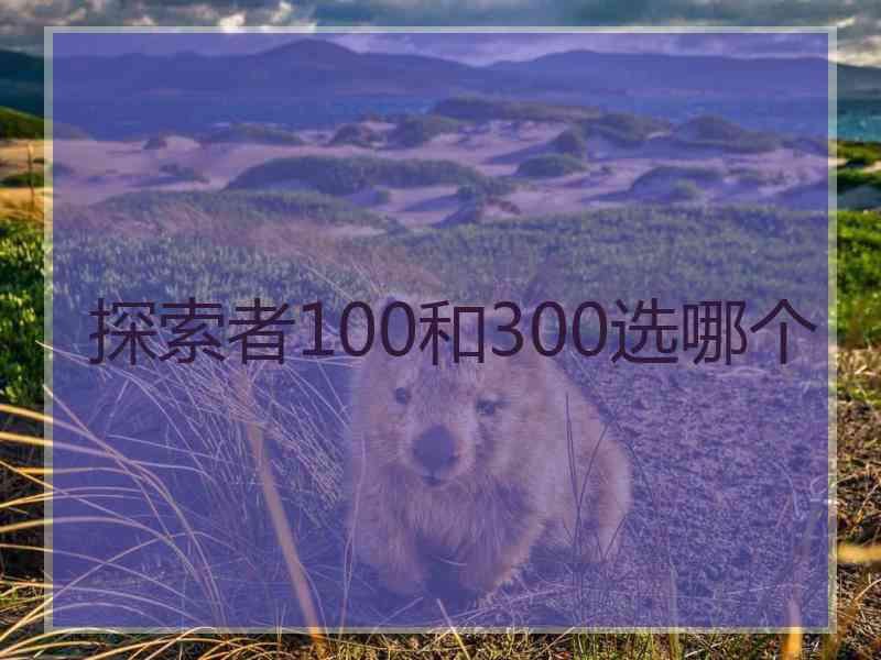 探索者100和300选哪个