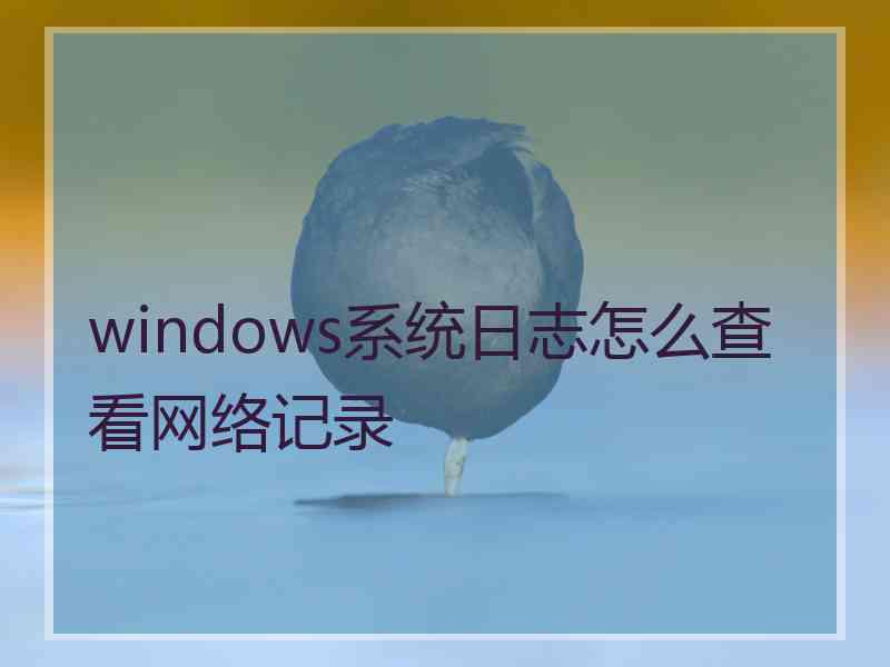 windows系统日志怎么查看网络记录