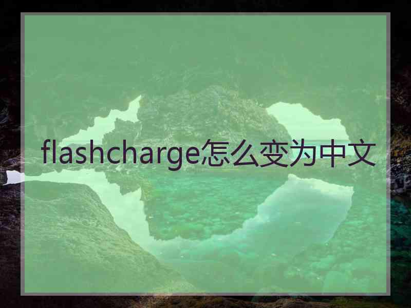 flashcharge怎么变为中文