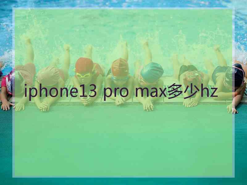 iphone13 pro max多少hz